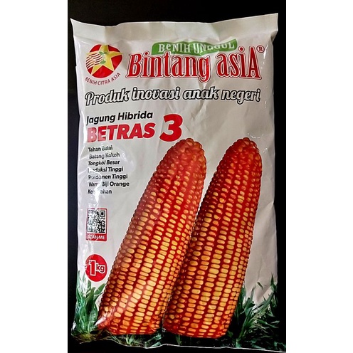 Benih Bibit Jagung Hibrida BETRAS 3/isi 1kg