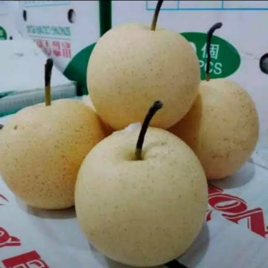 Jual Buah Pear Century 1 Dus Shopee Indonesia 