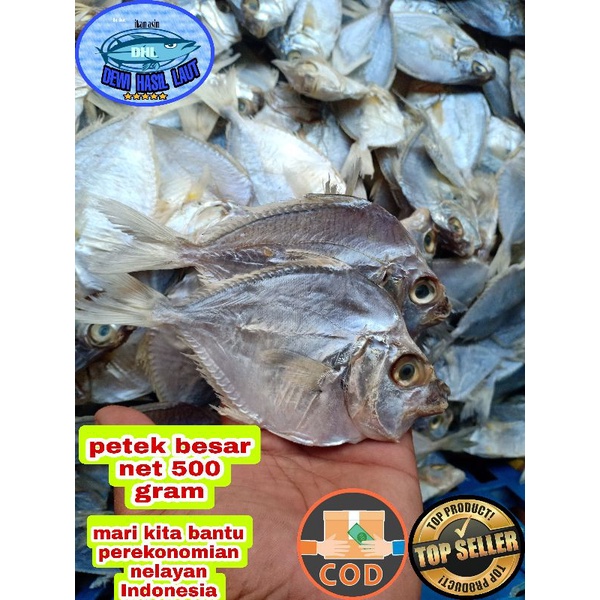 

Ikan asin petek size besar 500 gram