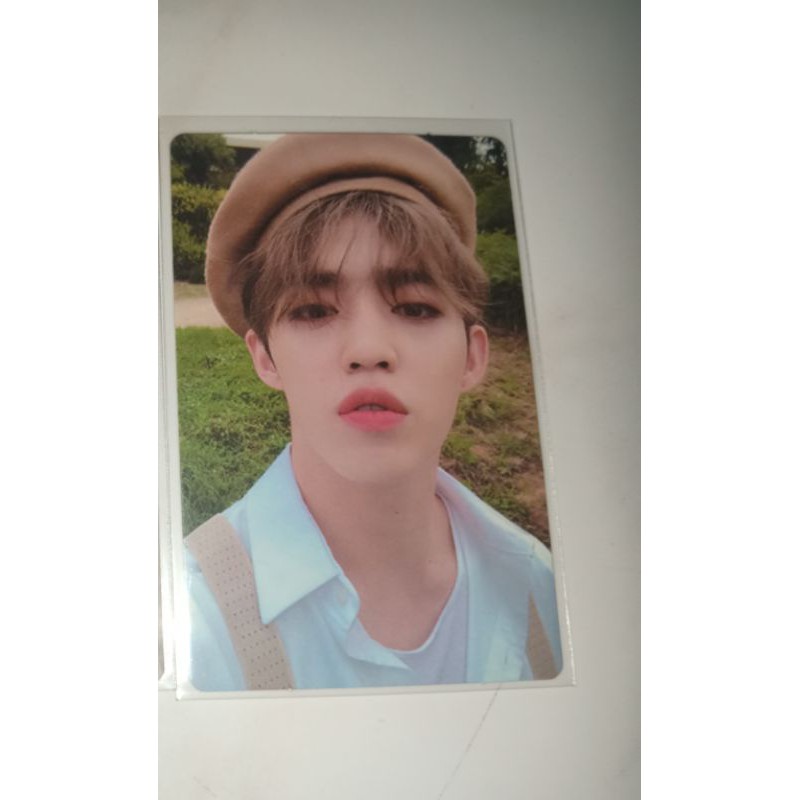 SCoups Beret [BOOKED]
