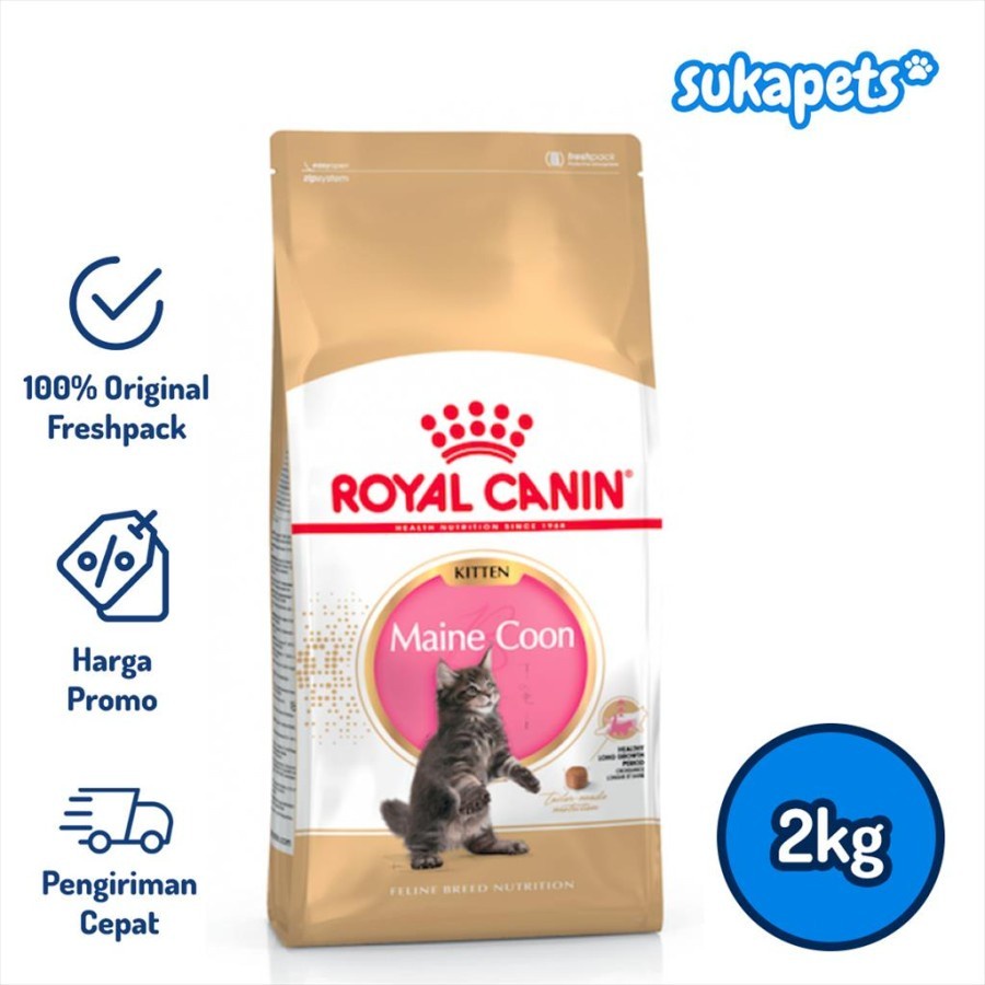 Royal Canin Kitten Maine Coon Makanan Anak Kucing 2kg