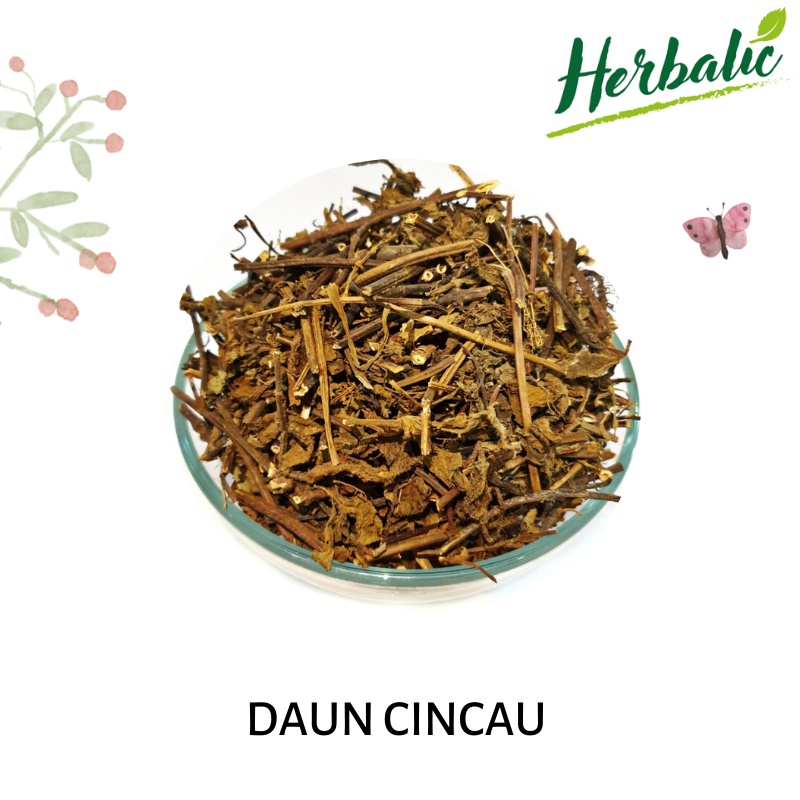 

Daun cincau kering [50gr]