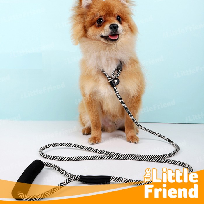 Tali Tuntun Slip Lead On Leash Anjing Bahan Nylon Braid Handle Genggam