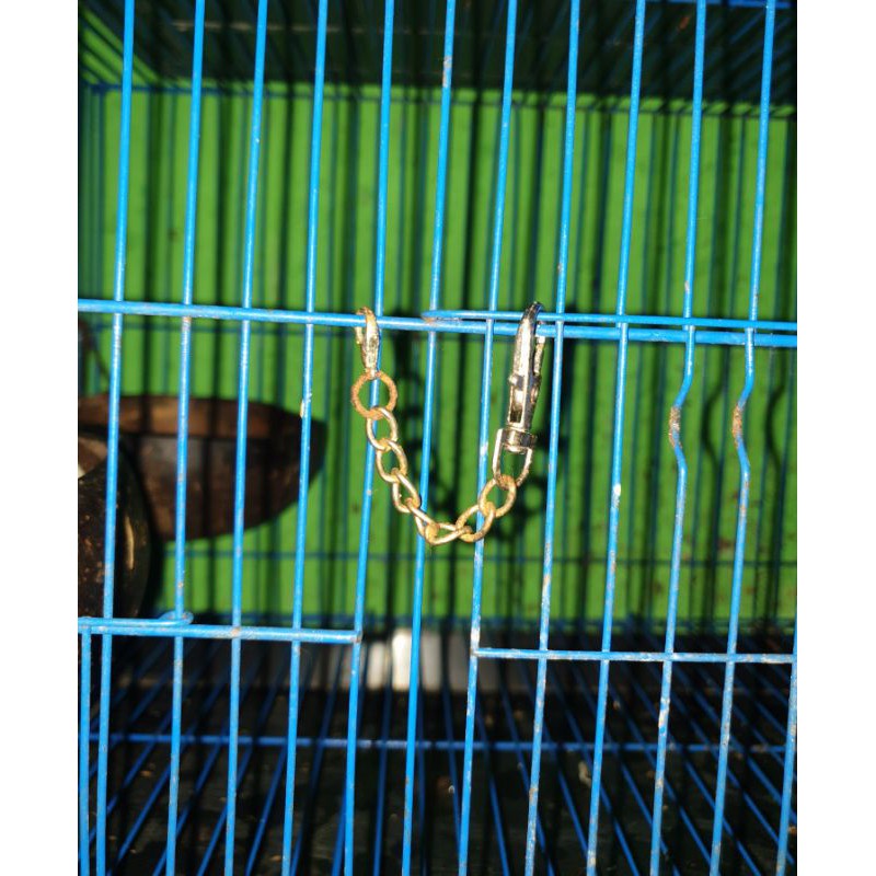 Cage Lock Kunci Kandang Sugar Glider Burung
