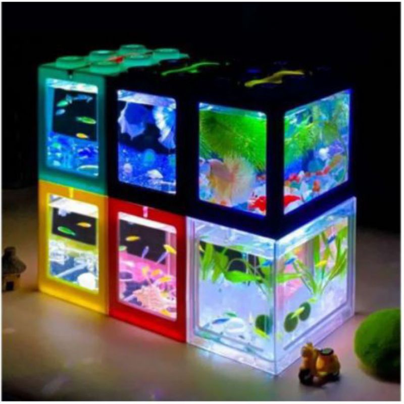 Aquarium Akuarium Mika Akrilik Acrylic Plastik Plastic Mini Kecil Unik Murah Hias Soliter Tank Kanda