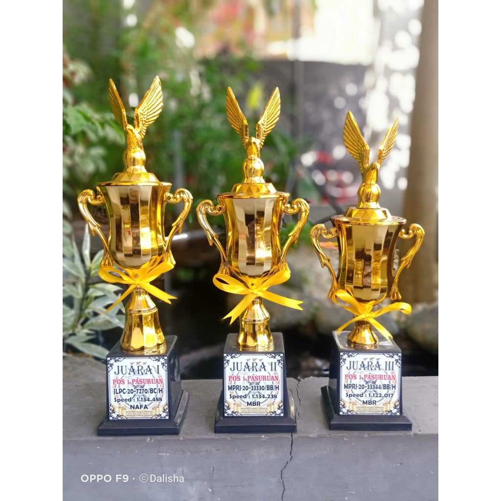 Piala Lomba BURung Piala Cup Burung Piala Garuda  Piala Burung BErkicau Burung Piala Garuda Piala Ga