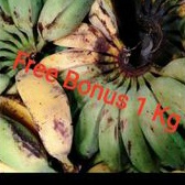 

Pisang Kepok 1 Sisir + Gratis Bonus