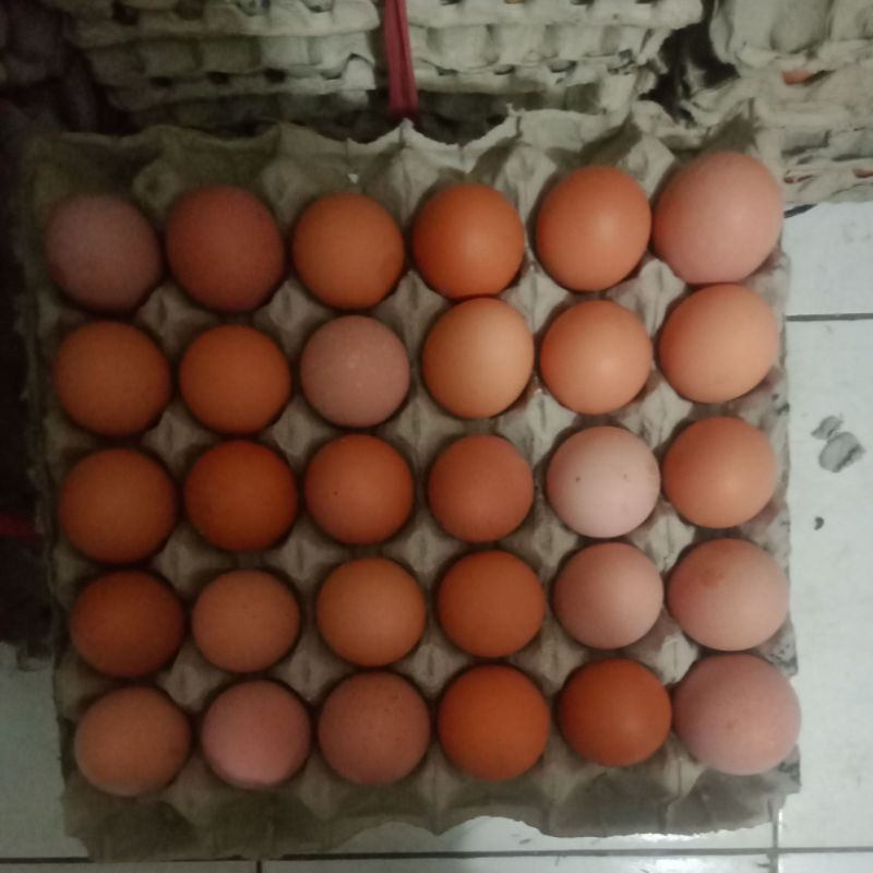 

promo paket telur negeri 30butir