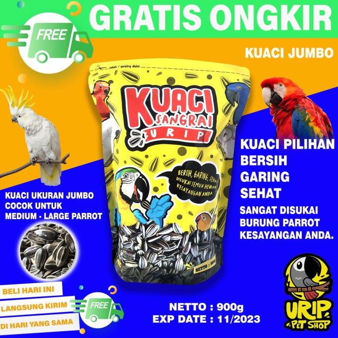 KUACI SANGRAI SUPER JUMBO UNTUK BURUNG KAKATUA MACAW AFGREY AMAZON