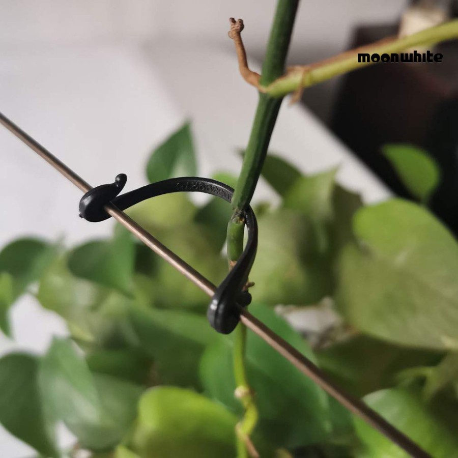 Klip Pengikat Tanaman Merambat Anggur Sayuran