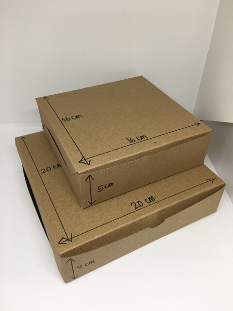 Box Pizza 20x20x5cm Laminasi / kotak/dus kraft - B 09