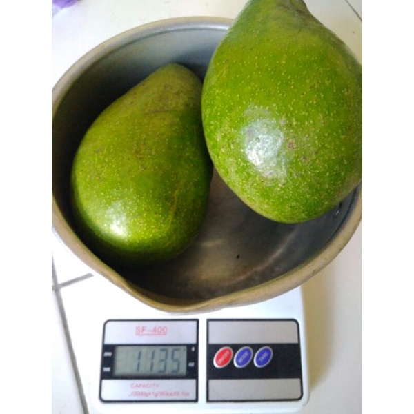 

Avozilla Super Jumbo (isi 2/kilo)