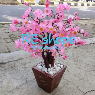 UPDATE BUNGA  HIAS  PLASTIK  POHON SAKURA MINI MEJA DEKORASI 