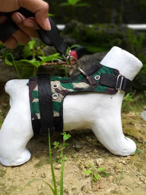 Aksesoris kucing military harnes tali harness herness musang leash model rompi