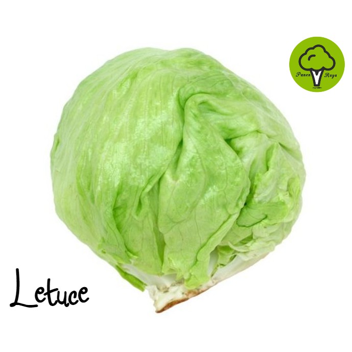 

SAYURAN / HEAD LETTUCE [1KG]