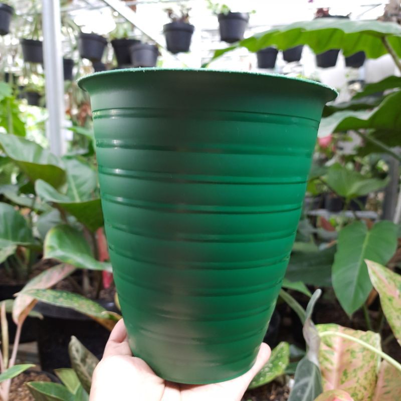 Pot Bunga Tabitha Lebah Pirus 15 Hijau / Pot Tanaman