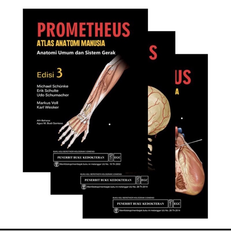 Prometheus Atlas Anatomi edisi 3 (preloved) like new