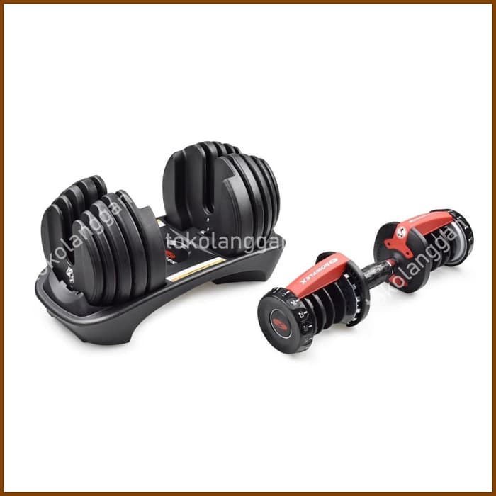 Schwinn Bowflex Dumbbell Selecttech 552i