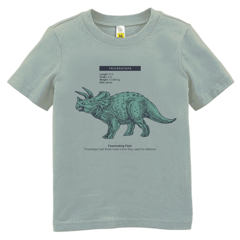 KAOS ANAK DINO FACTS SERIES 1 - 10 T