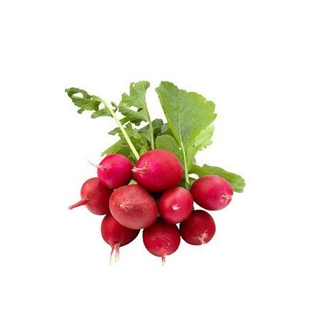 Radish Organik 250gr