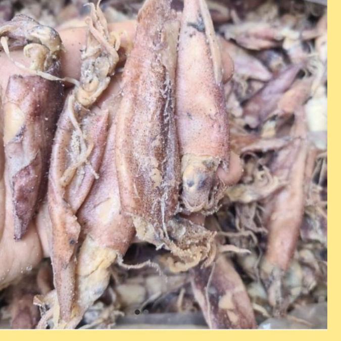 

9.9 STOK READY Cumi Asin 500gr - Cumi-cumi Asin buruan