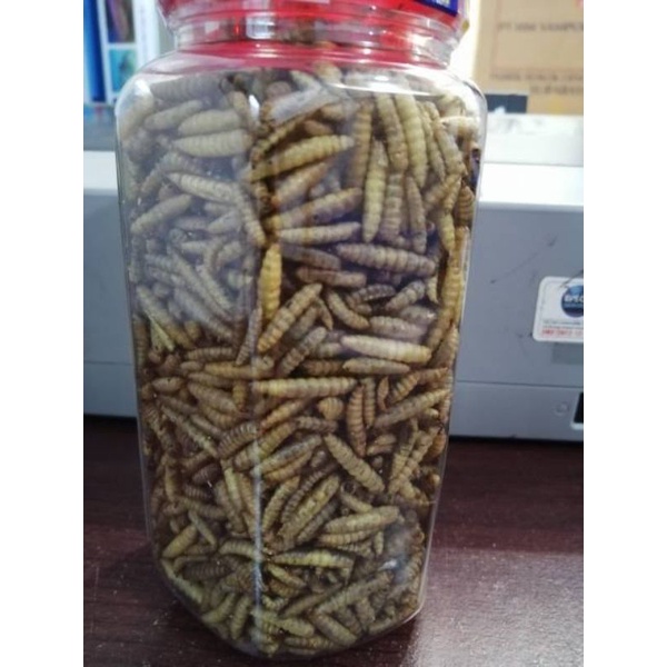 Makanan ikan arwana louhan AKARI AA MAGGOT PRO 130GR