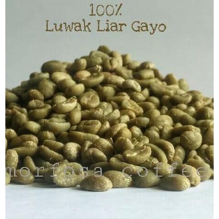 

Green Bean Kopi Luwak Liar Gayo (Biji Mentah)