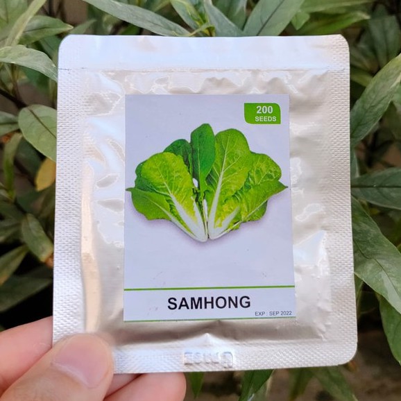 benih sayur - benih buah - benih sayuran - benih tomat - benih cabe - benih selada - benih bayam - benih terong - benih pakchoy -RS-samhong