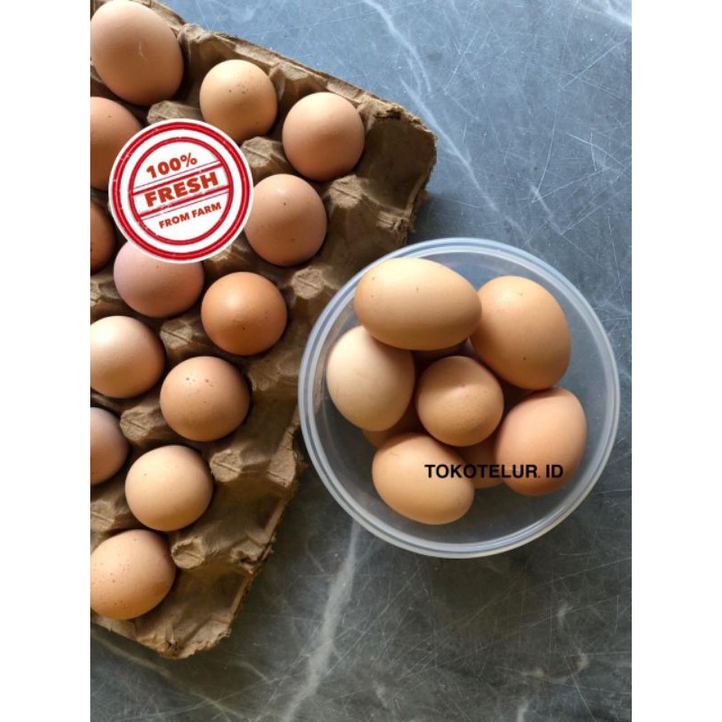 telur ayam negeri fresh segar kg