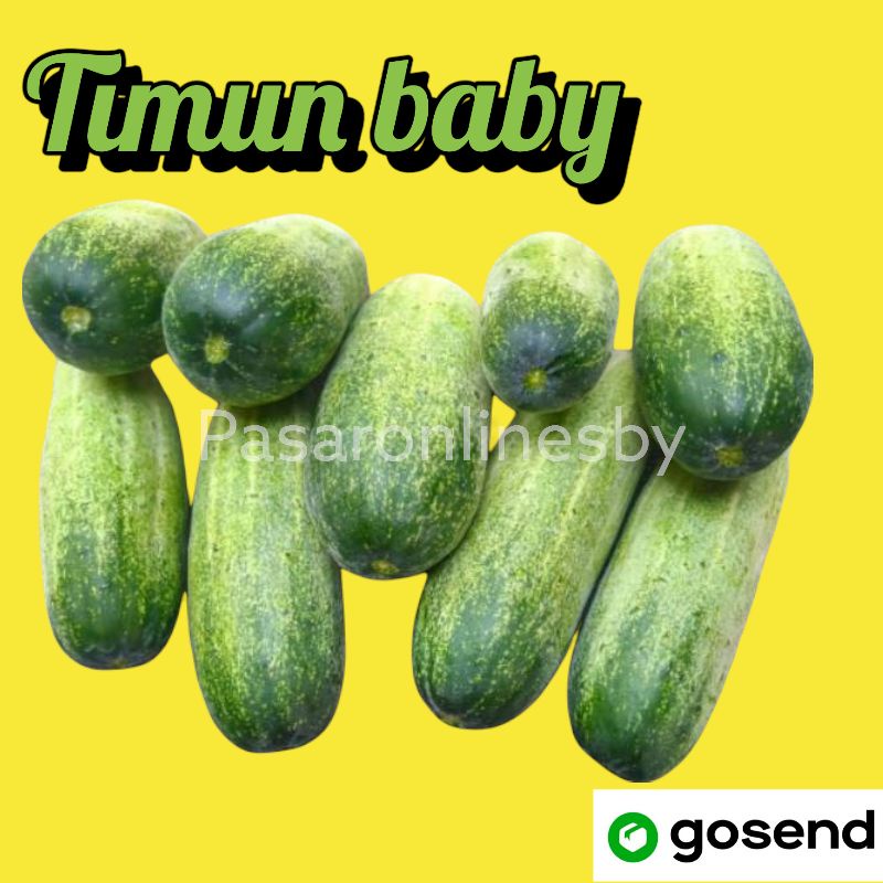 

PASAR GUBENG - Timun Baby