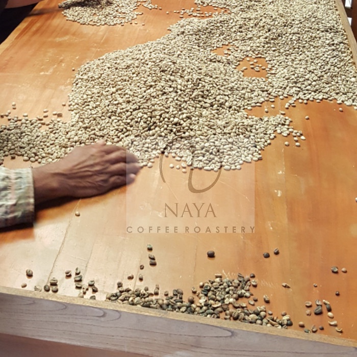 

Greenbean/ Biji Kopi Arabica Kintamani Bali Fullwash 059