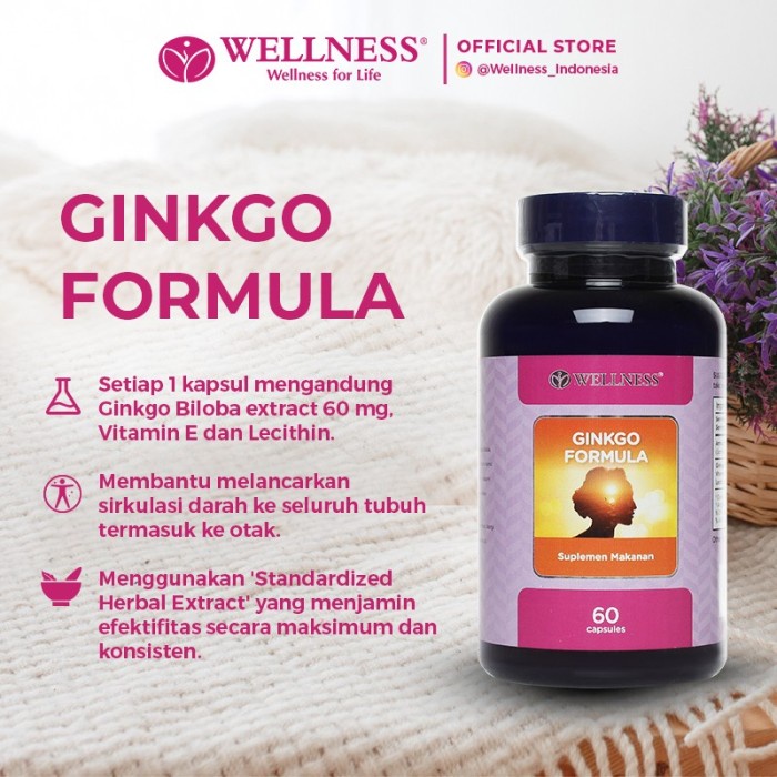 Wellnes Ginkgo Formula 60 Tablets