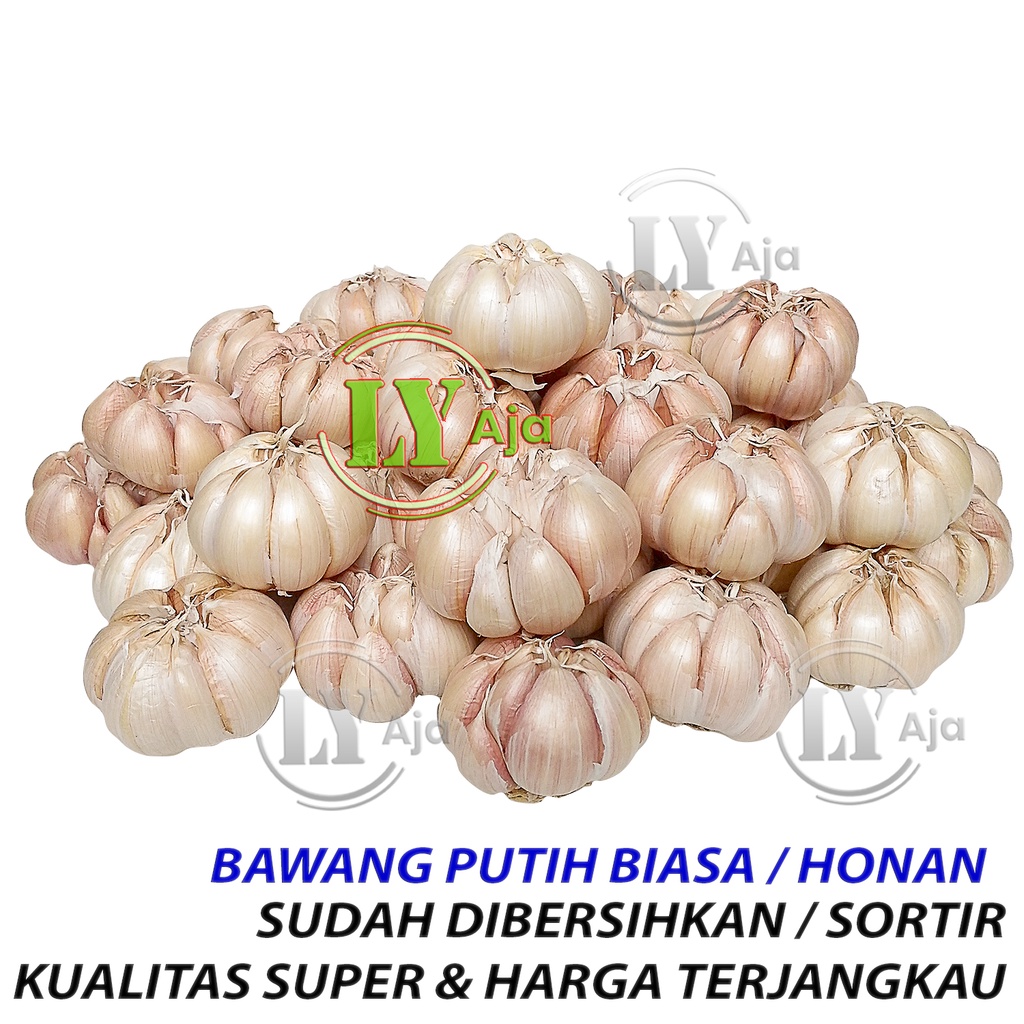 Bawang Putih Biasa Honan 1 KG BERSIH dan KOTOR Kualitas Super LY Aja 1Kg