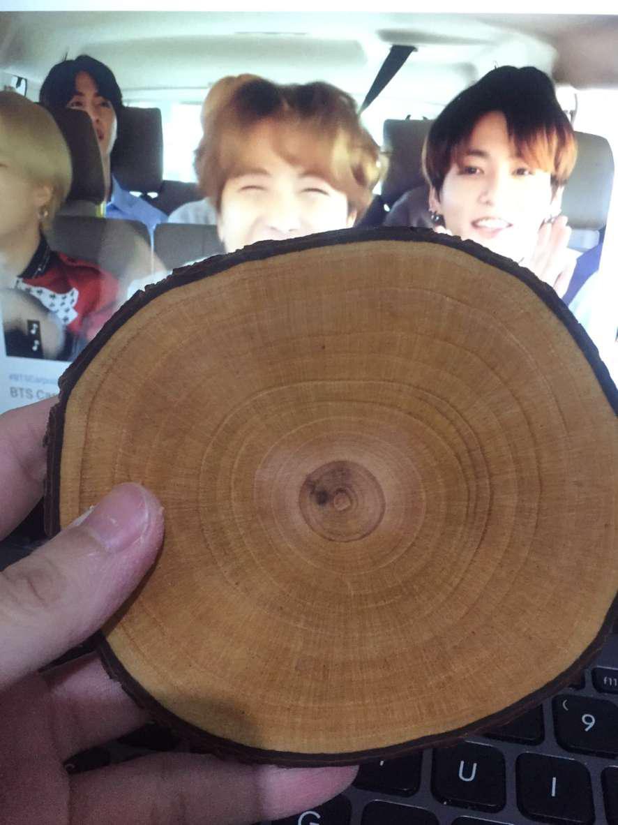 Dekornata Wooden Slice 10-14 Cm / Wood Slice/ Potongan Kayu Decor/alas Cangkir / Dekornata