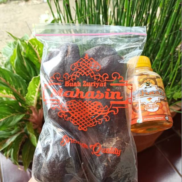 

Buah zuriat