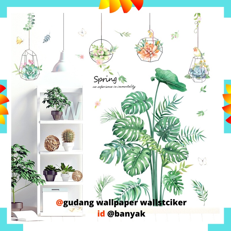 Q 47 WALLSTICKER WALLSTIKER WALLPAPER WALPAPER WALL STICKER STIKER DINDING POT DAUN PISANG PALEM KAKTUS Q47 MONSTERA MONTERA HIJAU PAPER LEAF CAFE DEKORASI RUMAH RUANG TAMU WALSTICKER KERAMIK PINTU JENDELA KACA KAMAR MANDI KRAMIK LEMARI DAPUR KITCHEN 3d