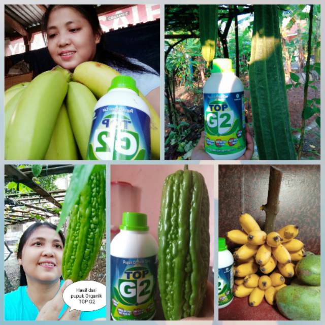 PUPUK T*O*P Gk2 H*W*I (Pupuk Organik Untuk Tanaman dan Hewan)