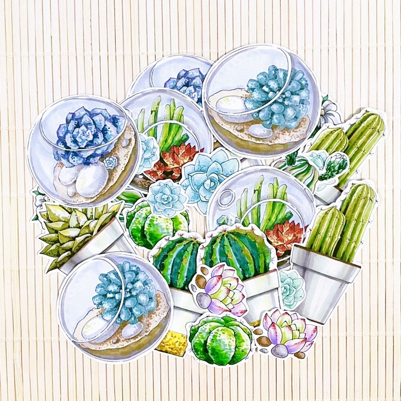 stickers set cactus plant stiker set isi banyak tanaman kaktus watercolour theme tempelan