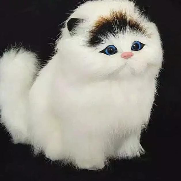 Boneka Kucing Simulasi 3D mirip seperti Kucing Asli Bersuara Meong