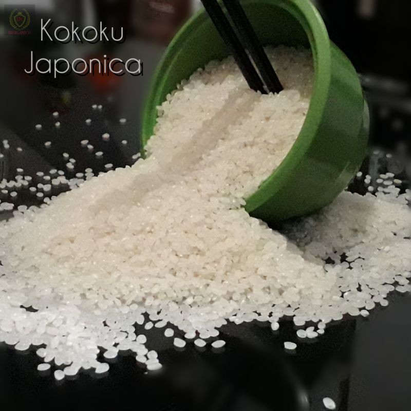 

Beras jepang/Japonica KoKoKu 1 KG repack