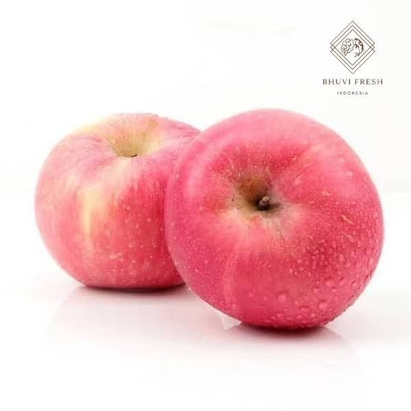 

Apel Fuji 1kg Fresh Murah