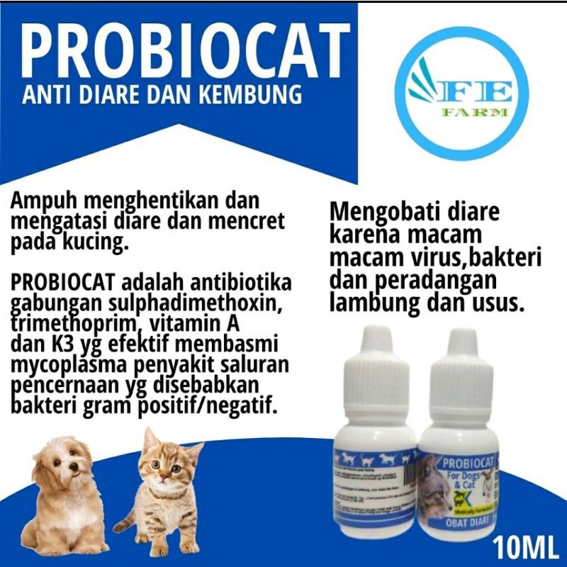 Obat Kucing Mencret Diare Gangguan Pencernaan Probiocat Obat Diare Vitamin pencernaan / Obat mencret Kucing