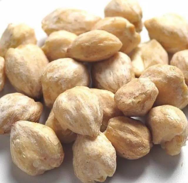 

Biji kemiri /muncang utuh 100 gr