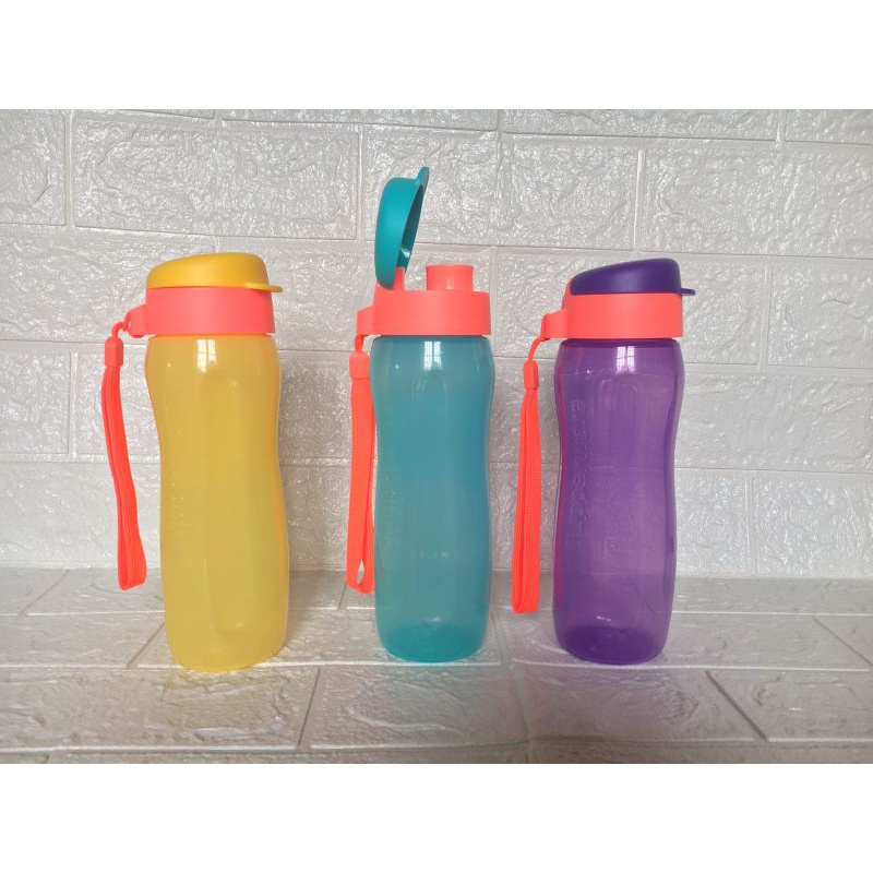 eco Bottle botol minum tupperware