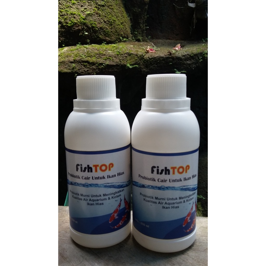 Probiotik Untuk Ikan Hias (Arwana, Louhan, Koi, Maskoki, Cupang, dll)