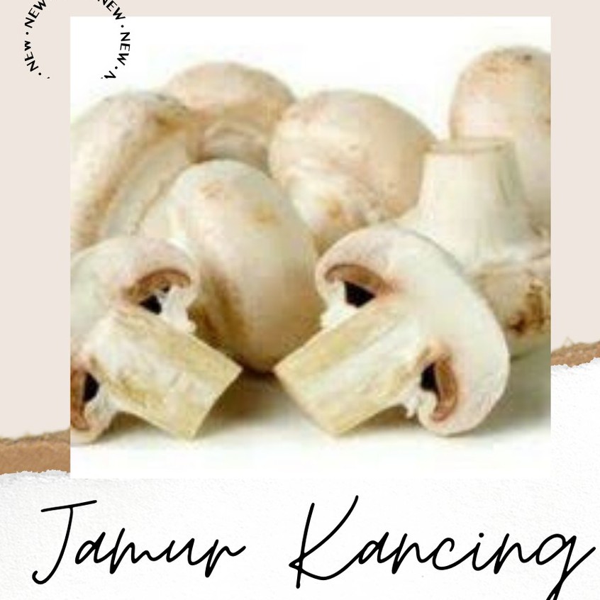 

JAMUR KANCING 1KG