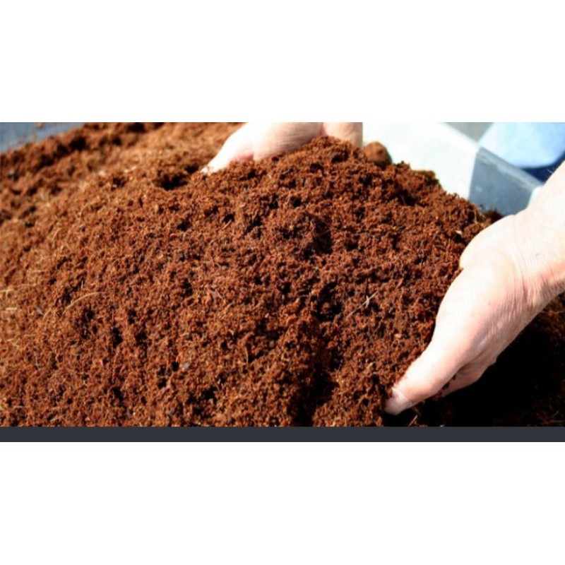 Media Tanam Cocopeat Halus//serabut kelapa halus//cocopeat