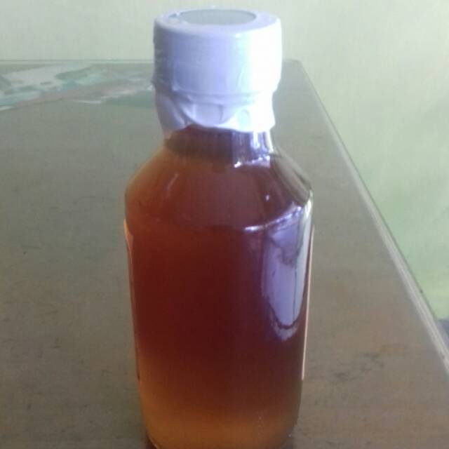 

Madu lebah Hutan