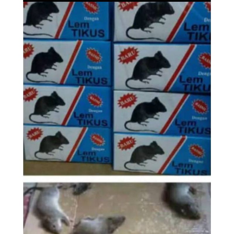 

Lem Tikus - Lem Perangkap Tikus Kemasan dus( 12 pcs Lem)