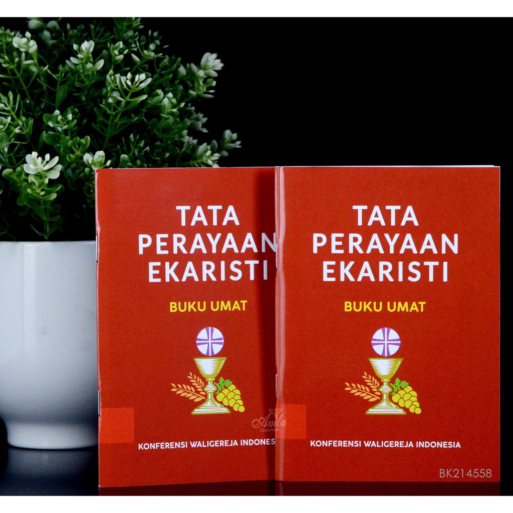 Jual Buku Tata Perayaan Ekaristi Umat Edisi Revisi Indonesia|Shopee ...